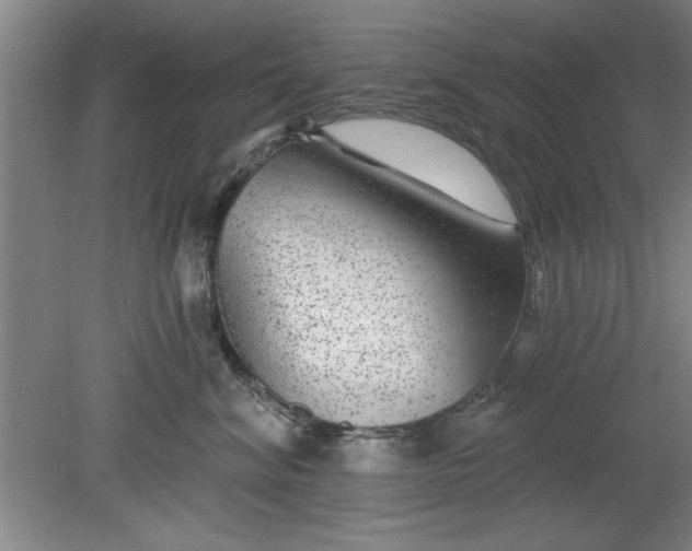 X0000080790620200701021226