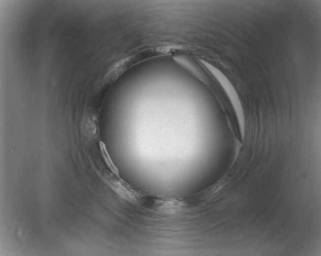 X0000080790621200701021226
