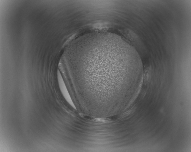 X0000080790623200701021225