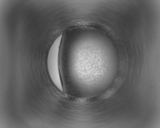X0000080790624200701021225