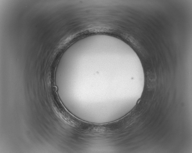 X0000080790631200701021225