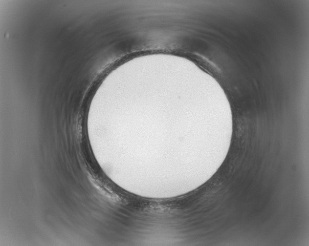 X0000080790632200701021225