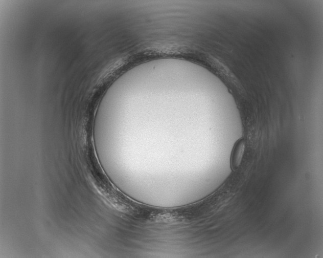 X0000080790635200701021225