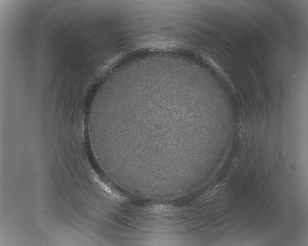 X0000080790637200701021225