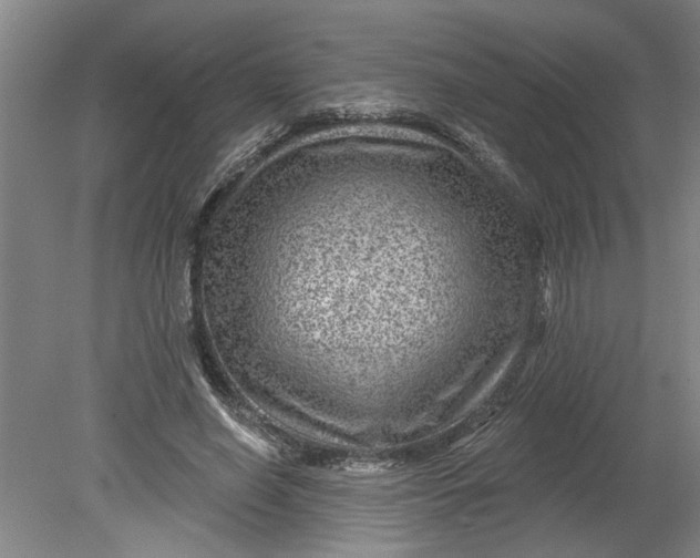 X0000080790638200701021225