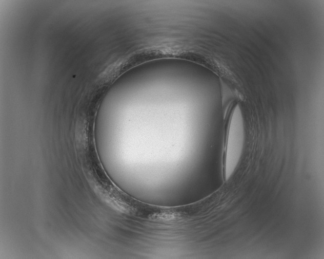 X0000080790639200701021225