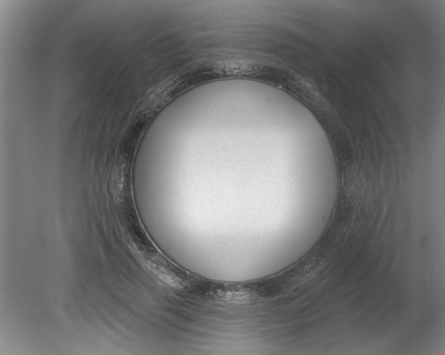 X0000080790645200701021225