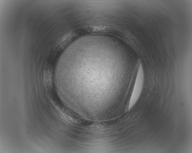 X0000080790648200701021225