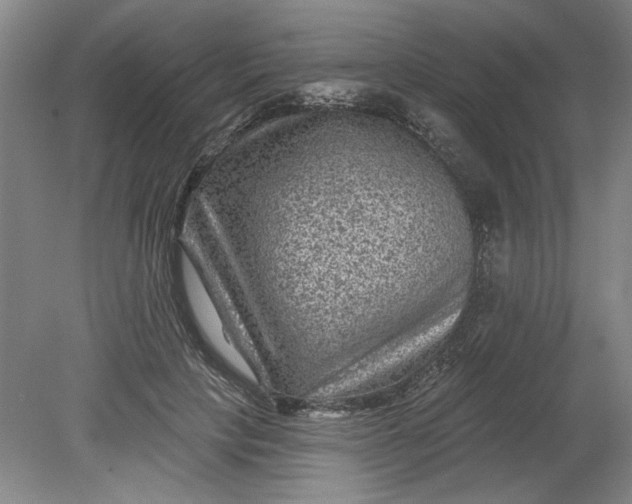 X0000080790649200701021225