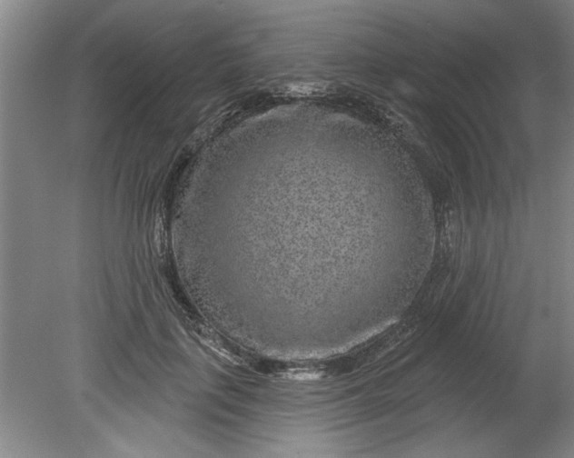 X0000080790651200701021225