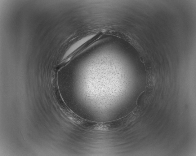 X0000080790656200701021225