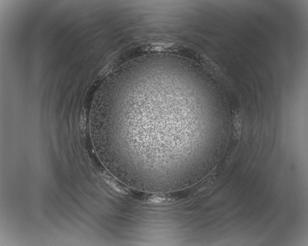 X0000080790657200701021225