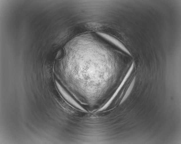 X0000080790658200701021225