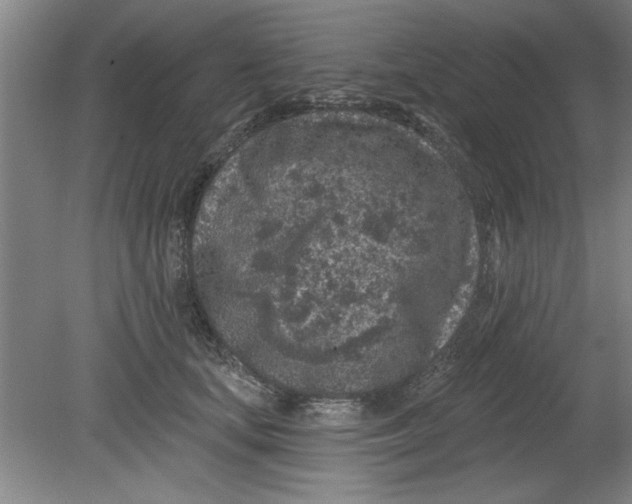 X0000080790659200701021225