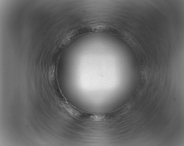 X0000080790660200701021225