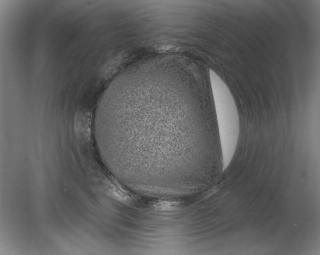X0000080790664200701021225