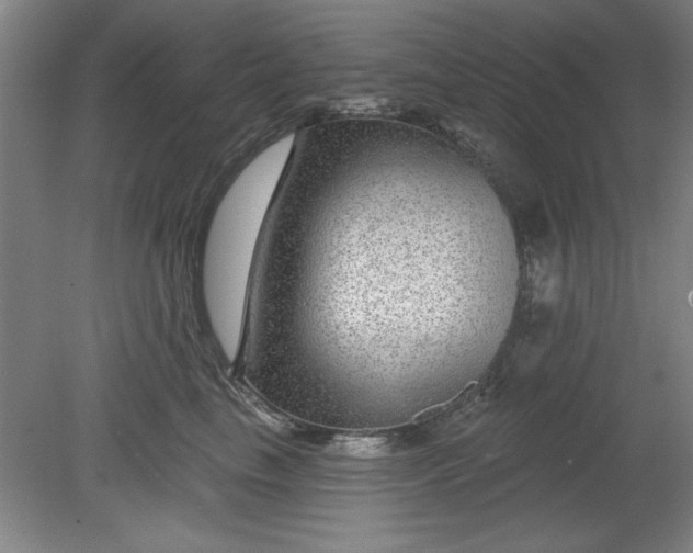 X0000080790665200701021225