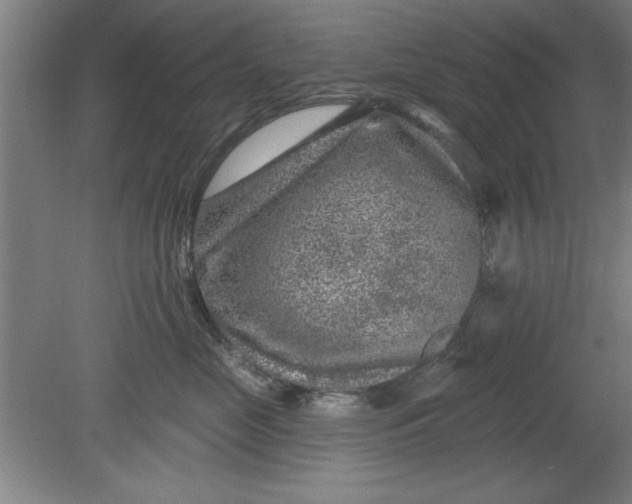 X0000080790669200701021225