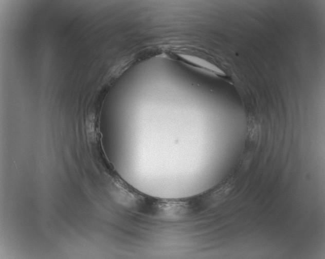 X0000080790670200701021225