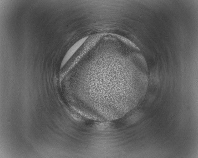 X0000080790671200701021225