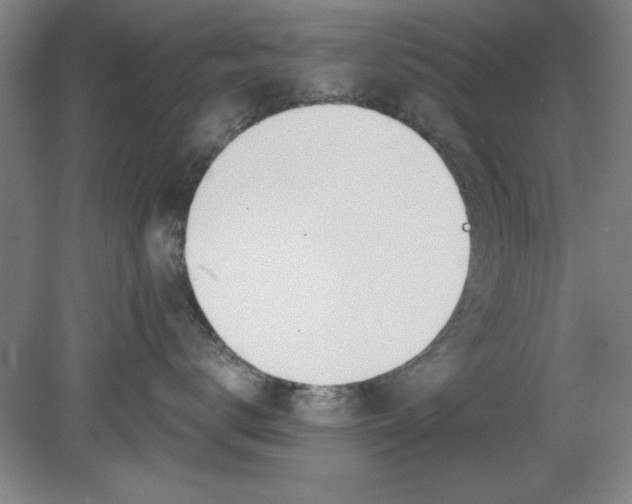 X0000080790672200701021225