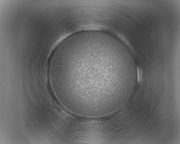 X0000080790675200701021225