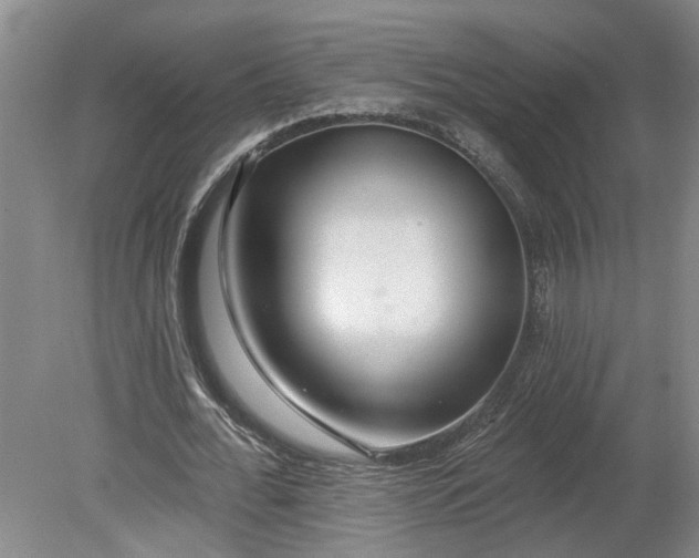 X0000080790676200701021225