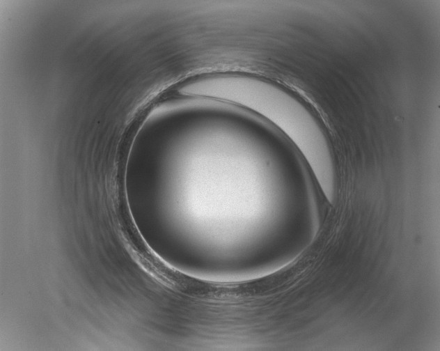 X0000080790677200701021225