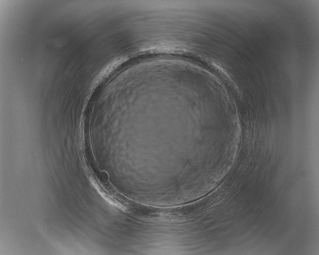 X0000080790678200701021225