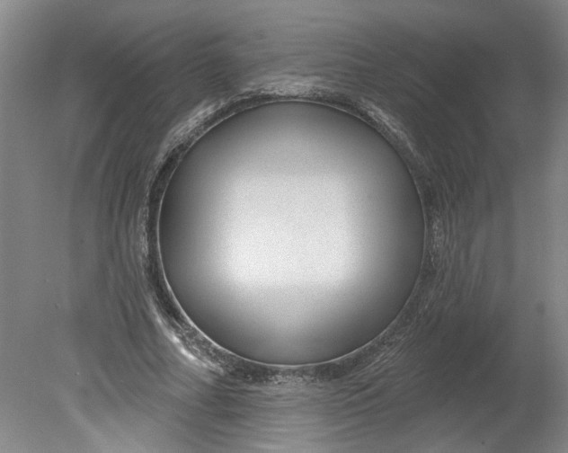 X0000080790682200701021224