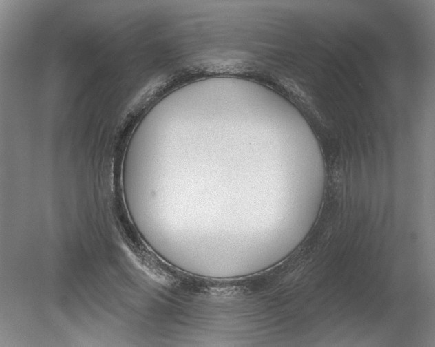 X0000080790686200701021224