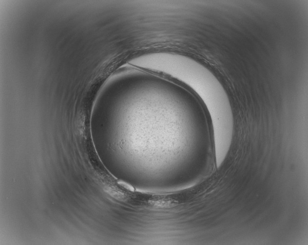 X0000080790693200701021224