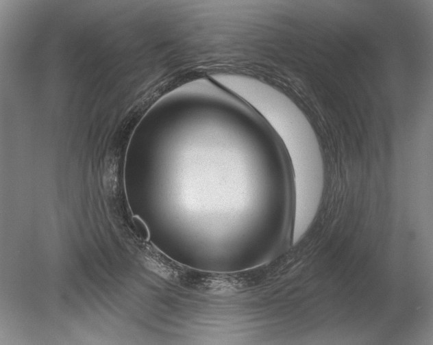 X0000080790697200701021224