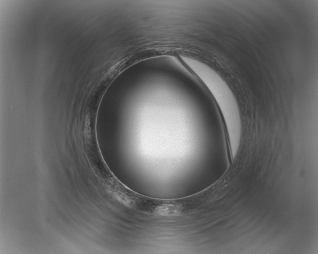 X0000080790700200701021224
