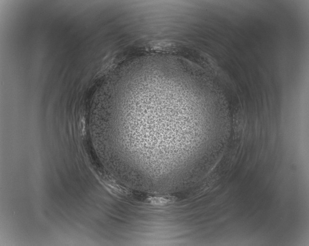 X0000080790703200701021224