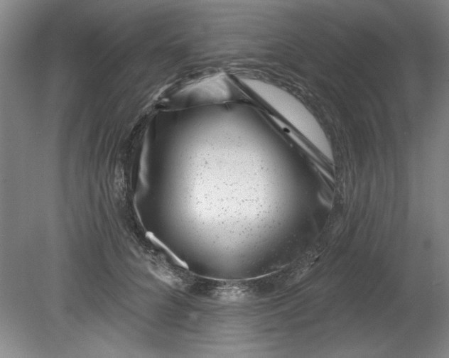 X0000080790704200701021224