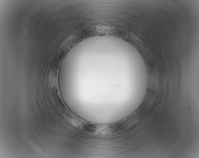 X0000080790705200701021224