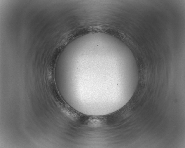 X0000080790706200701021224