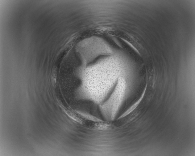 X0000080790710200701021224