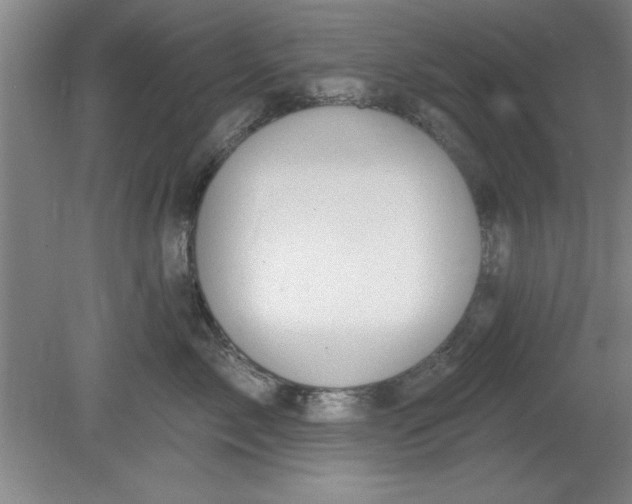 X0000080790717200701021224