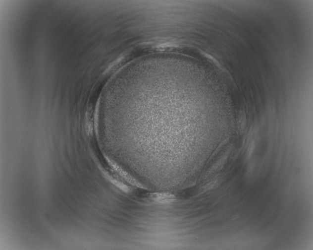 X0000080790719200701021224