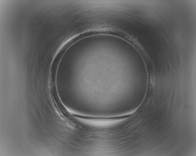 X0000080790724200701021223
