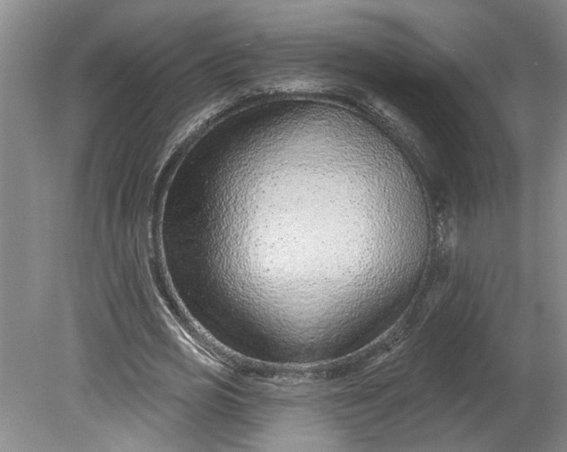 X0000080790725200701021223