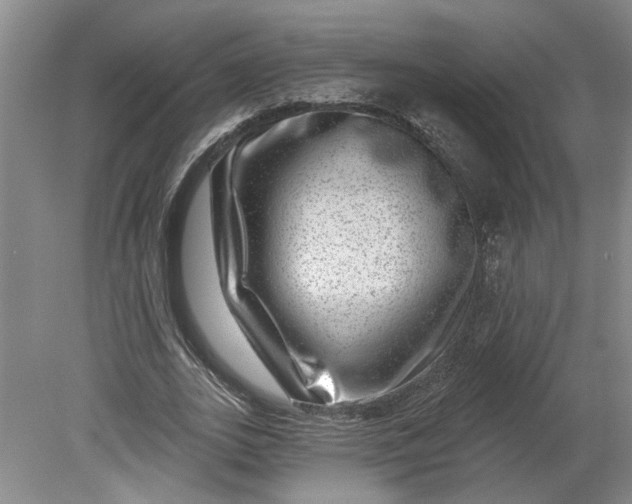 X0000080790727200701021223