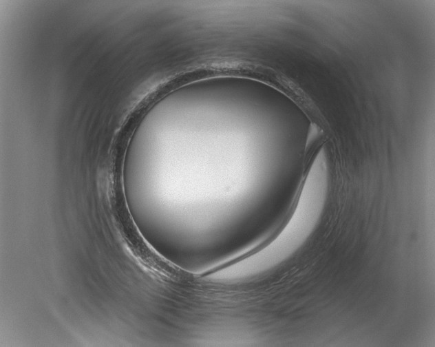 X0000080790728200701021223