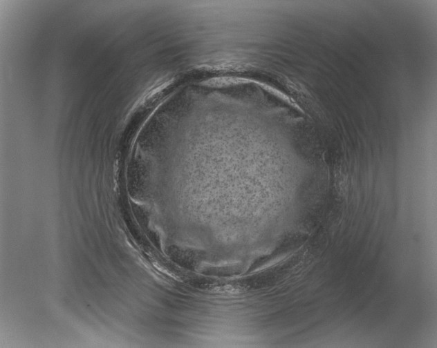X0000080790735200701021223