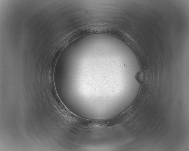 X0000080790737200701021223