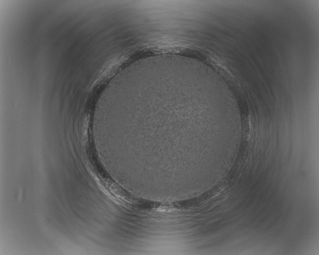 X0000080790742200701021223