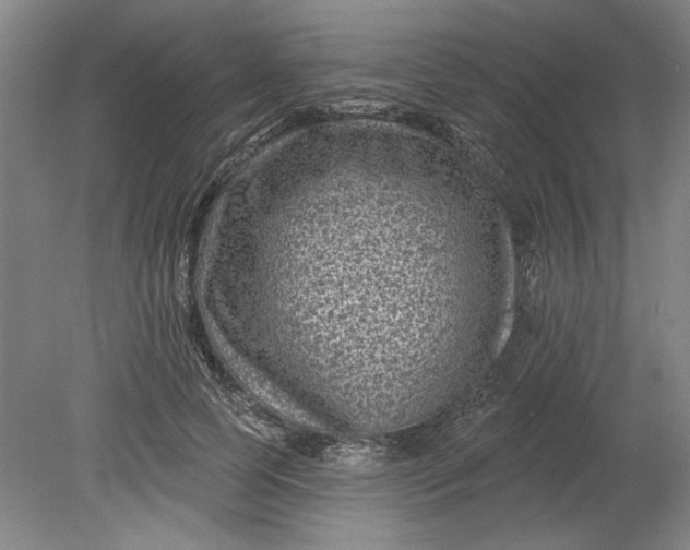 X0000080790745200701021223