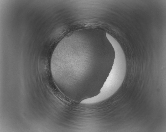 X0000080790748200701021223